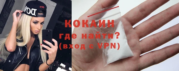 гидра Богородицк