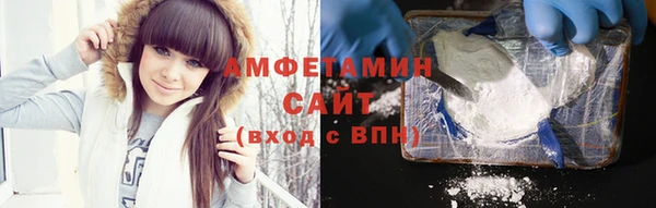 гидра Богородицк