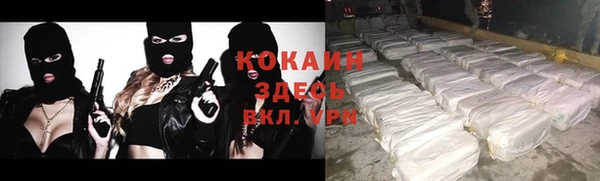 ПСИЛОЦИБИНОВЫЕ ГРИБЫ Баксан