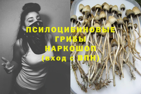 ПСИЛОЦИБИНОВЫЕ ГРИБЫ Баксан